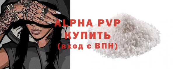 шишки Надым