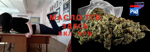 шишки Надым